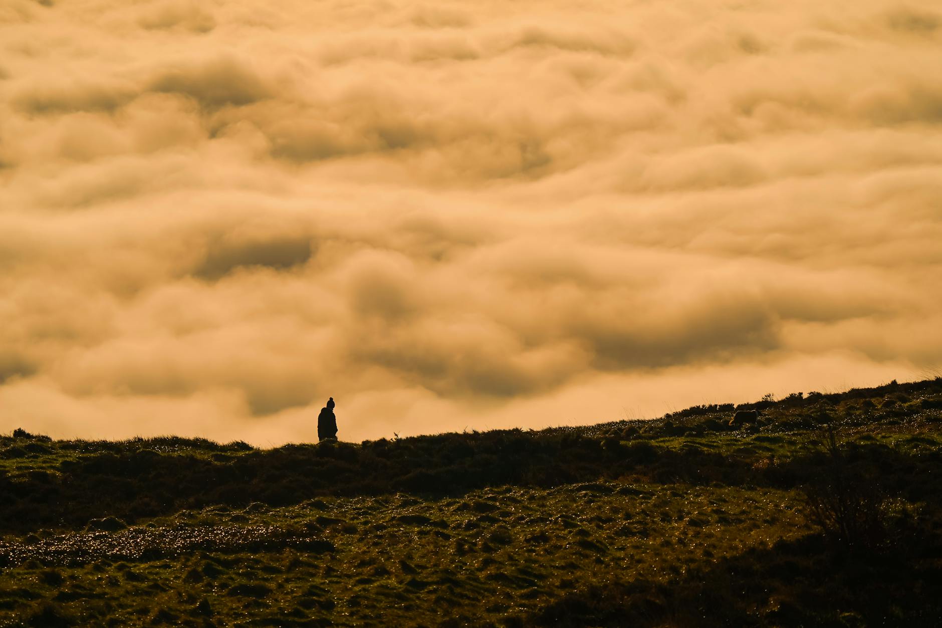 Belfast, United Kingdom