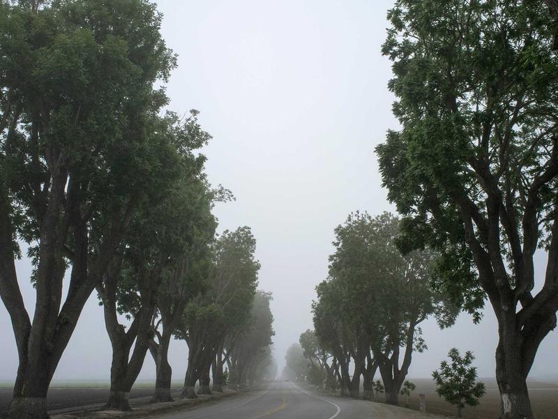 Bosnia And Herzegovina