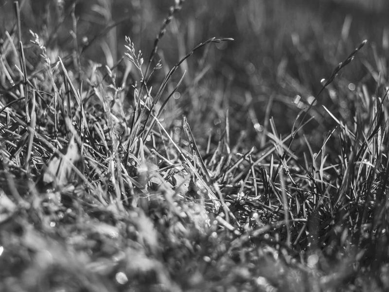 Richmond, United States