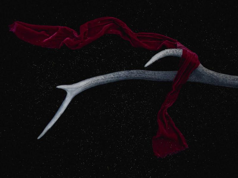 Savannah, United States